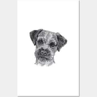 Border Terrier dog Posters and Art